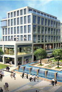 上海揚志醫療投資管理有限公司 上海揚志醫療投資管理有限公司