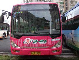 廣州公交243路 廣州公交243路