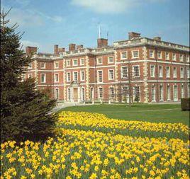 米德塞斯大學 米德塞斯大學