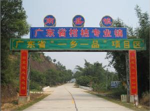 沙糖桔-沙糖桔 沙糖桔-沙糖桔