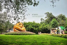 帶你游成都:最應該去的28個地方 帶你游成都:最應該去的28個地方