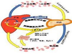 老年人糖尿病周圍神經病 老年人糖尿病周圍神經病