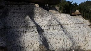 豹皮紋灰岩 豹皮紋灰岩