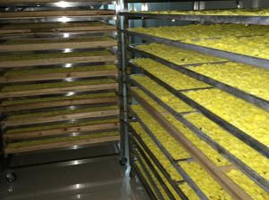 皇菊烘乾機 皇菊烘乾機