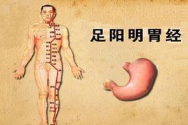 足陽明胃經