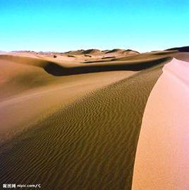 內蓋夫沙漠 內蓋夫沙漠