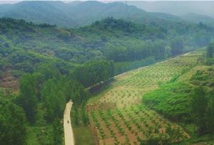 大年溝村 大年溝村