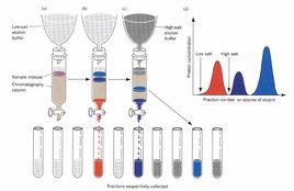 層析分離法 層析分離法