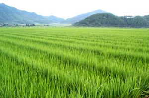 （圖）鄉鎮風光