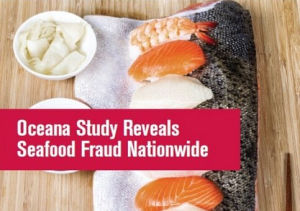 海鮮鑑定器 海鮮鑑定器