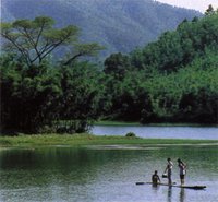紅樹林自然保護區