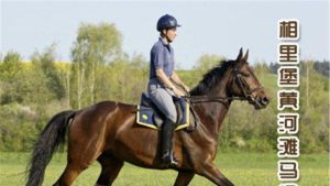 韓城跑馬場（韓城黃河灘跑馬場）