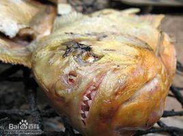 水中惡魔 水中惡魔