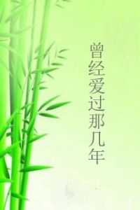 曾經愛過那幾年 曾經愛過那幾年