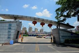 株洲公交 株洲公交