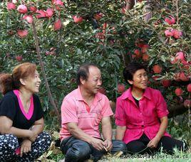 山西植物翅果園 山西植物翅果園