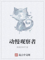 動慢觀察者