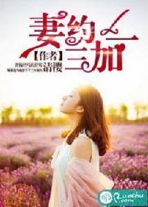 妻約三加一 妻約三加一