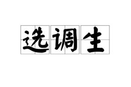 選調生[經組織選調到基層重點培養的群體]