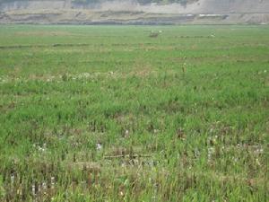 龍潭村（銅都鎮）