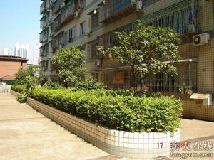 天韻家園 天韻家園