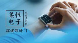 柔性電子 柔性電子