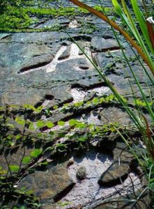 洪崖丹井 洪崖丹井