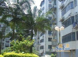 東光花園 東光花園