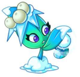 槲寄冰仙子 槲寄冰仙子