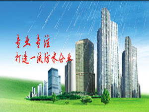 湖南天地防水工程有限公司 湖南天地防水工程有限公司