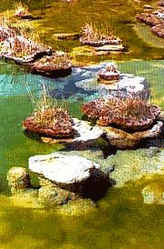 灌頂突泉 灌頂突泉