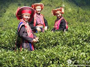 世界瑤都 世界瑤都