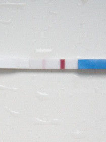 驗孕試紙 驗孕試紙