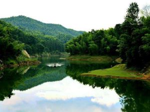 桃花江國家森林公園