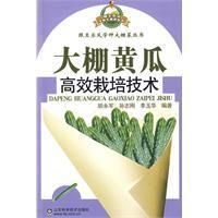 大棚黃瓜高效栽培技術 大棚黃瓜高效栽培技術
