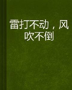 雷打不動,風吹不倒 雷打不動,風吹不倒