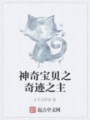 神奇寶貝之奇蹟之主 神奇寶貝之奇蹟之主