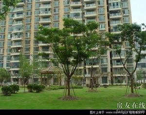 天幕闊景 天幕闊景