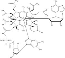 鈷胺輔酶