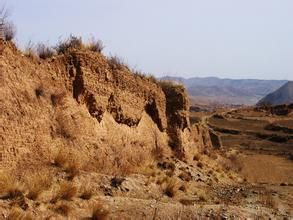 金家莊遺址 金家莊遺址