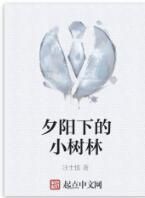 夕陽下的小樹林 夕陽下的小樹林