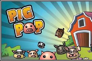 憤怒的泡泡豬 憤怒的泡泡豬