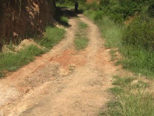 皮廠二隊村 皮廠二隊村