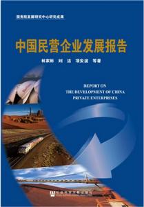 中國民營企業發展報告 中國民營企業發展報告