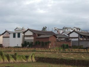 柳邑自然村 柳邑自然村