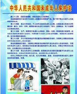 未成年保護法 未成年保護法