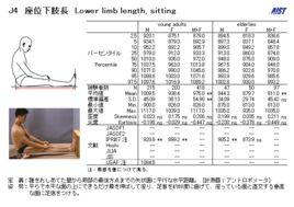 坐姿下肢長 坐姿下肢長