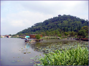 紹興鏡湖國家城市濕地公園 紹興鏡湖國家城市濕地公園