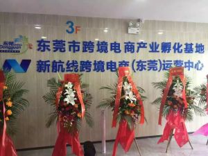新航線跨境電商運營中心 新航線跨境電商運營中心