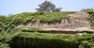 合肥野生動物園